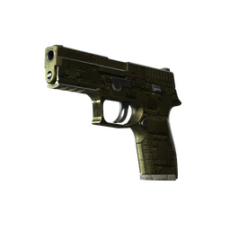 P250 | Iron Clad