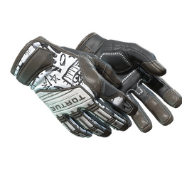 ★ Specialist Gloves | Blackbook (Field-Tested)