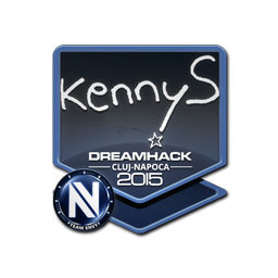 Sticker | kennyS | Cluj-Napoca 2015