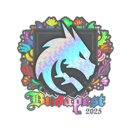 Sticker | Team Spirit (Holo) | Budapest 2025