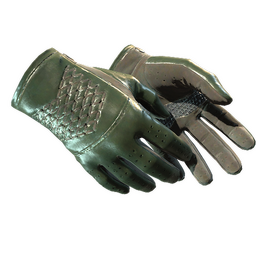 ★ Driver Gloves | Racing Green (Factory New)