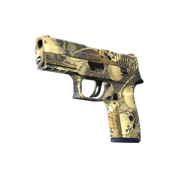 Souvenir P250 | Contamination (Minimal Wear)