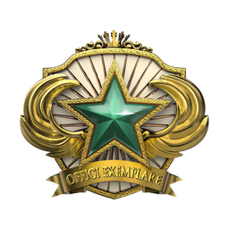 2018 Service Medal