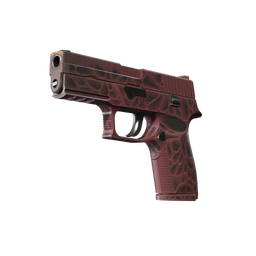 P250 | Contaminant (Minimal Wear)